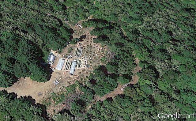 Example of a pot farm as viewed from Google Earth.