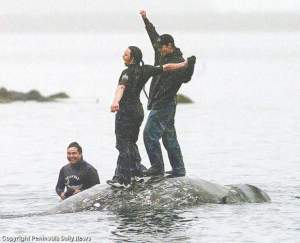 The Makah celebrate after killing a gray whale in 1999.  They have been fighting for 16 years to resume their hunt.