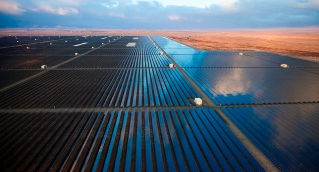 Solar arrays in the desert: Killing more birds than you imagine ...