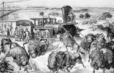 Slaughter of Buffalo on Kansas Pacific Railroad