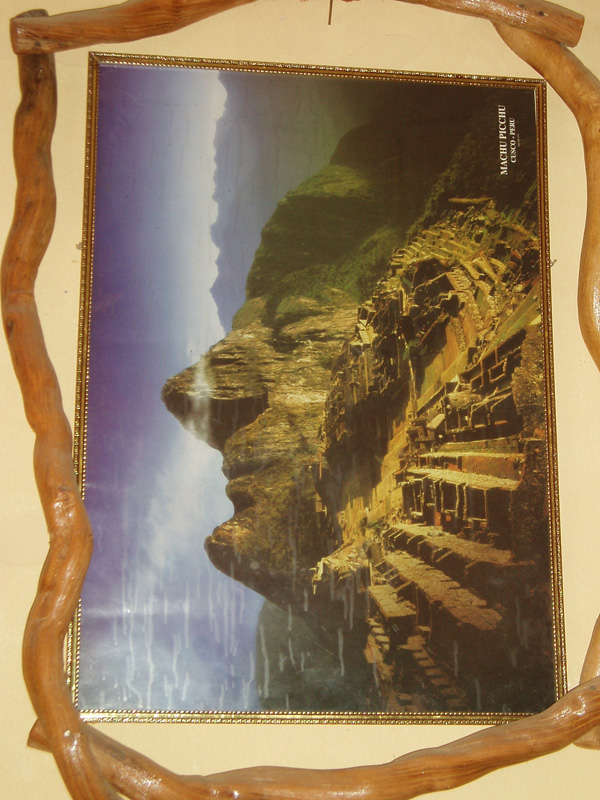 OLYMPUS DIGITAL CAMERA