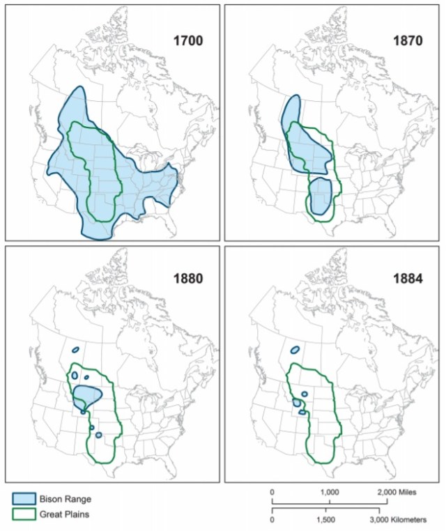 The rise and fall and rise of the buffalo | Memories of the People